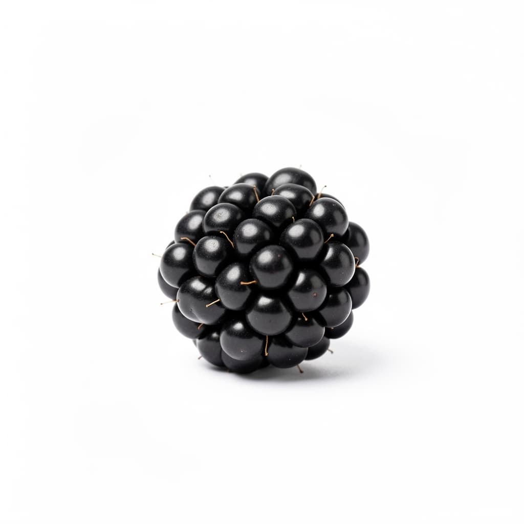 Blackberries