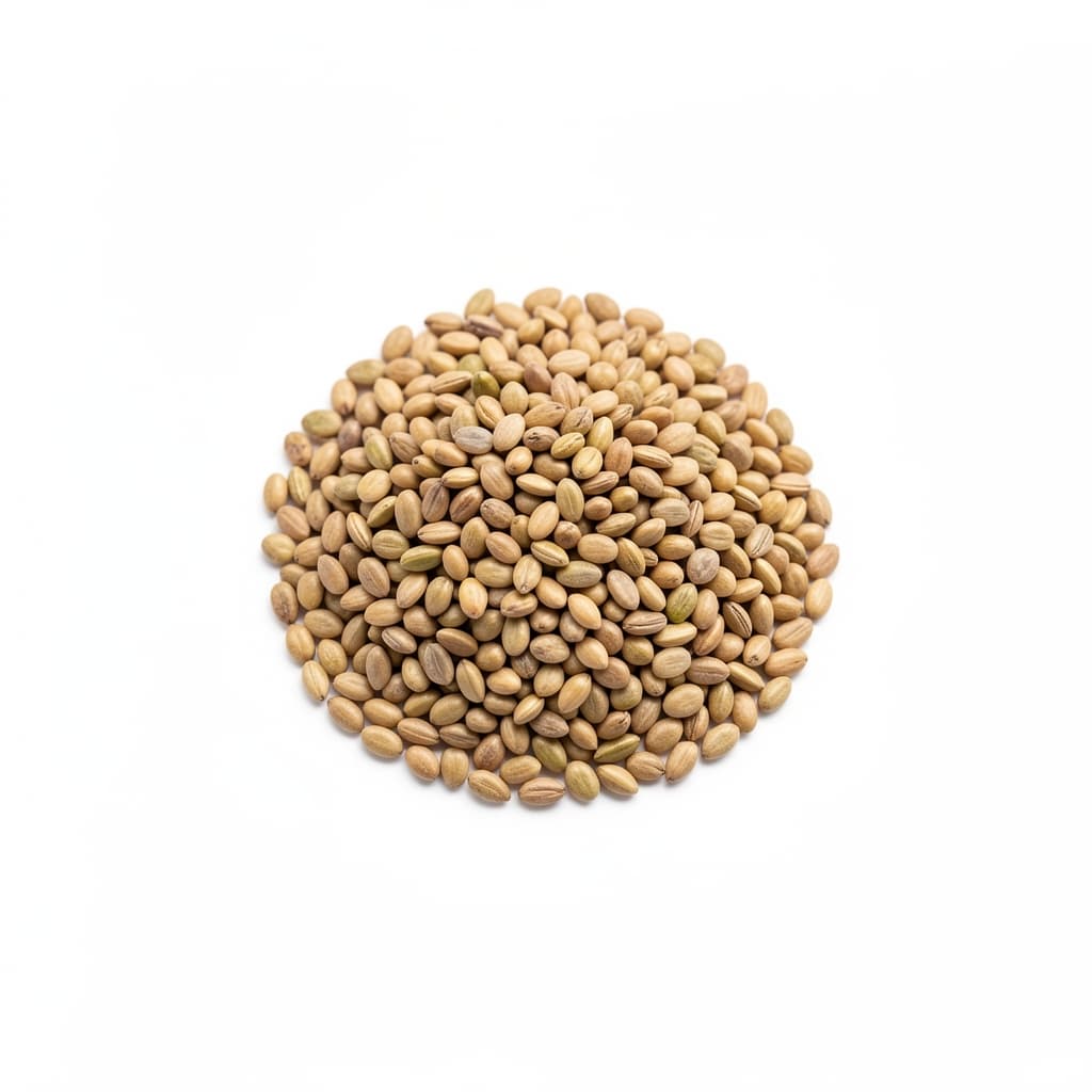 Hemp Seeds