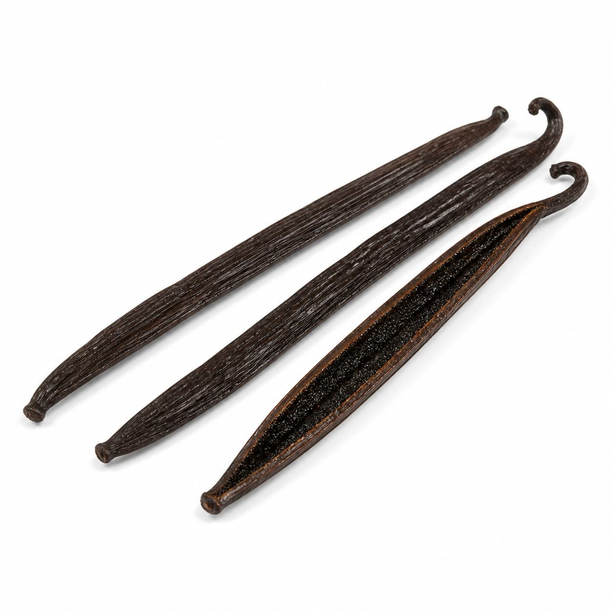 Vanilla Bean