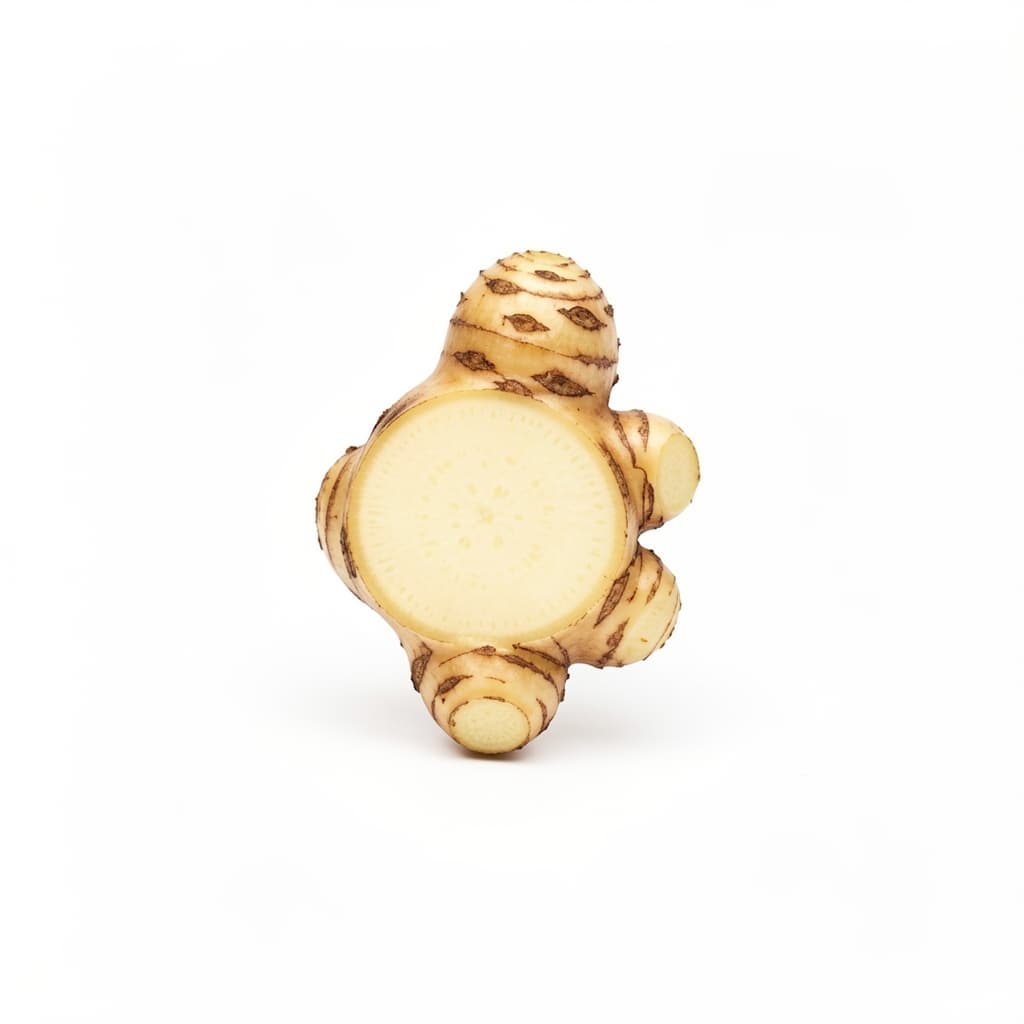 Galangal