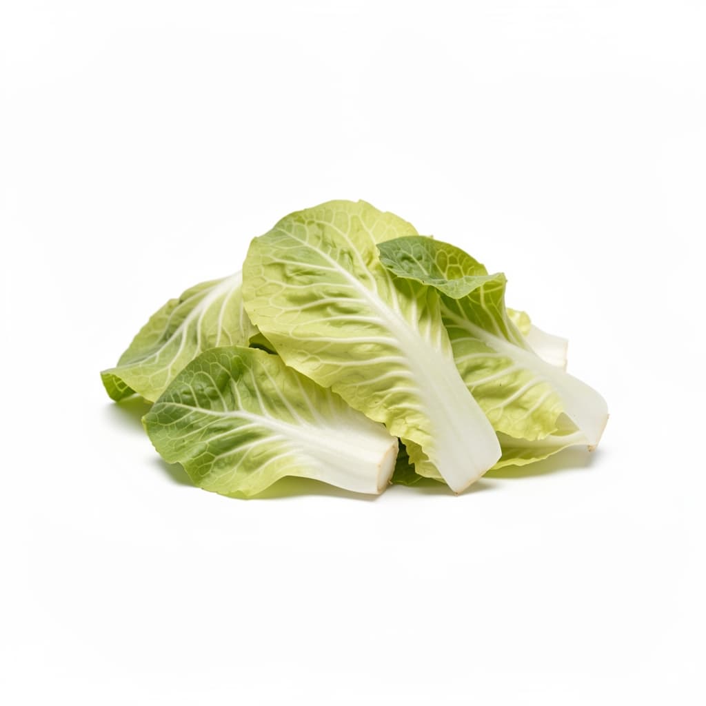 Cabbage Leaves