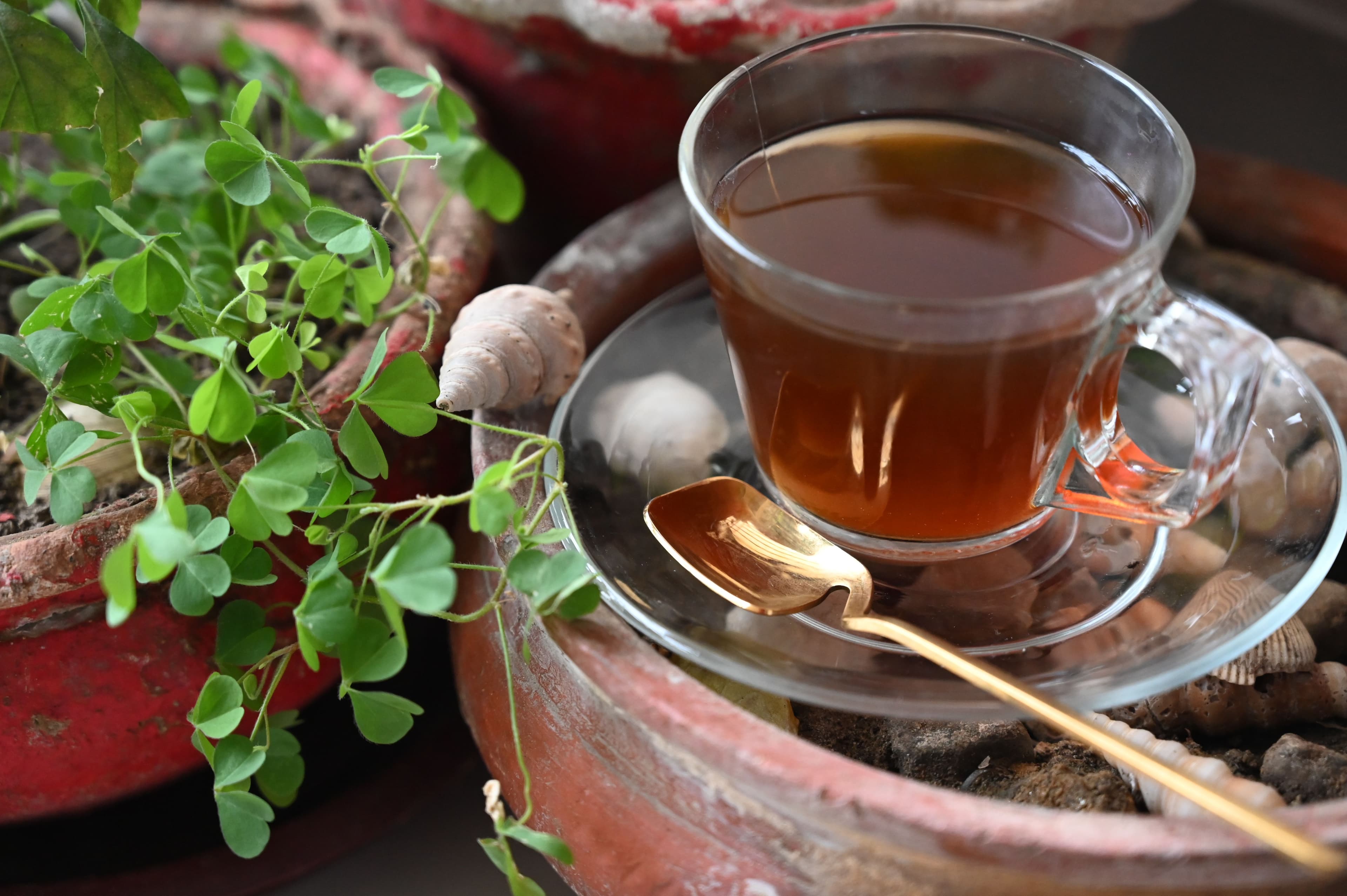 Ashwagandha Tea