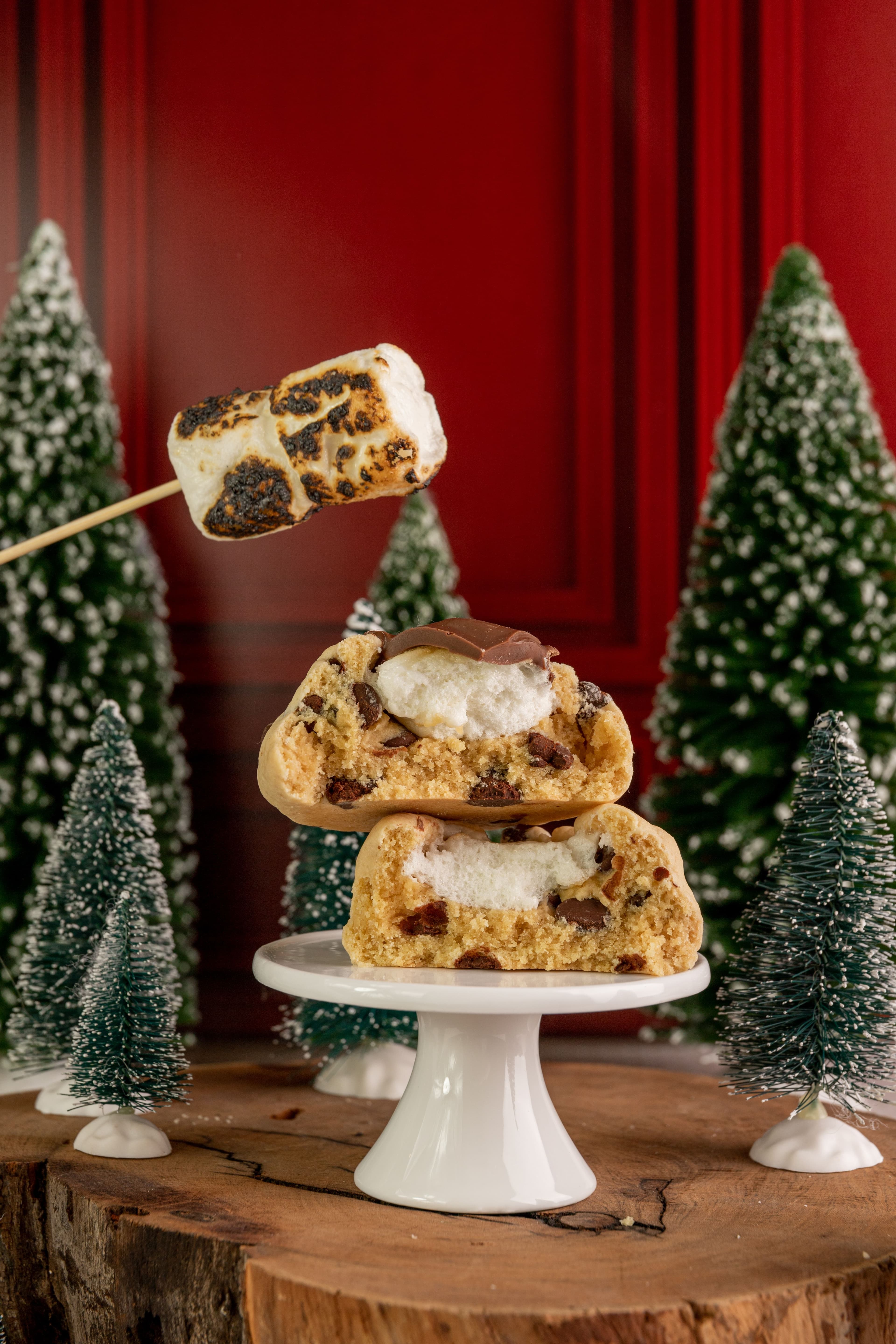 Cupcake S'mores