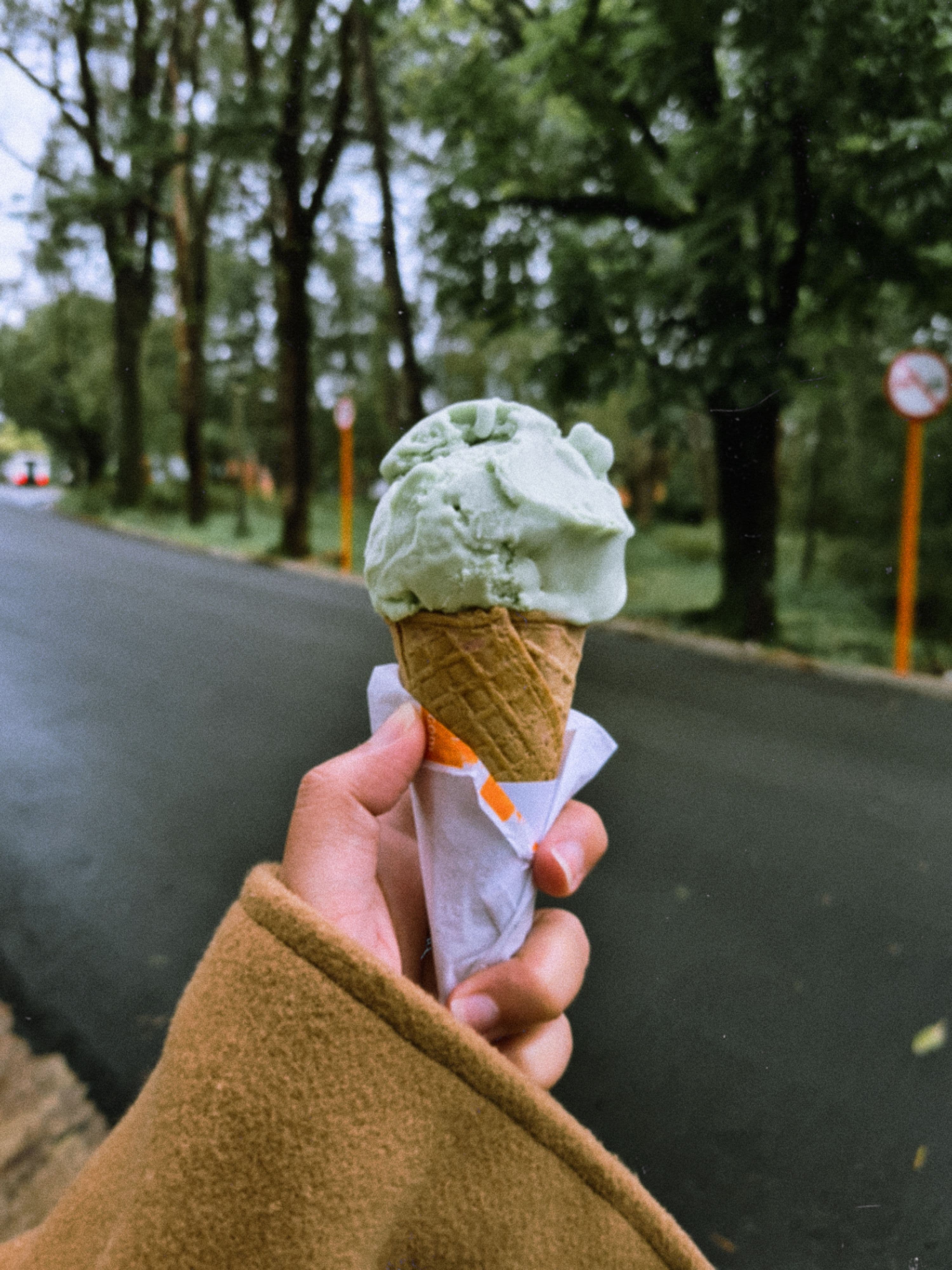 Durian Ice Cream