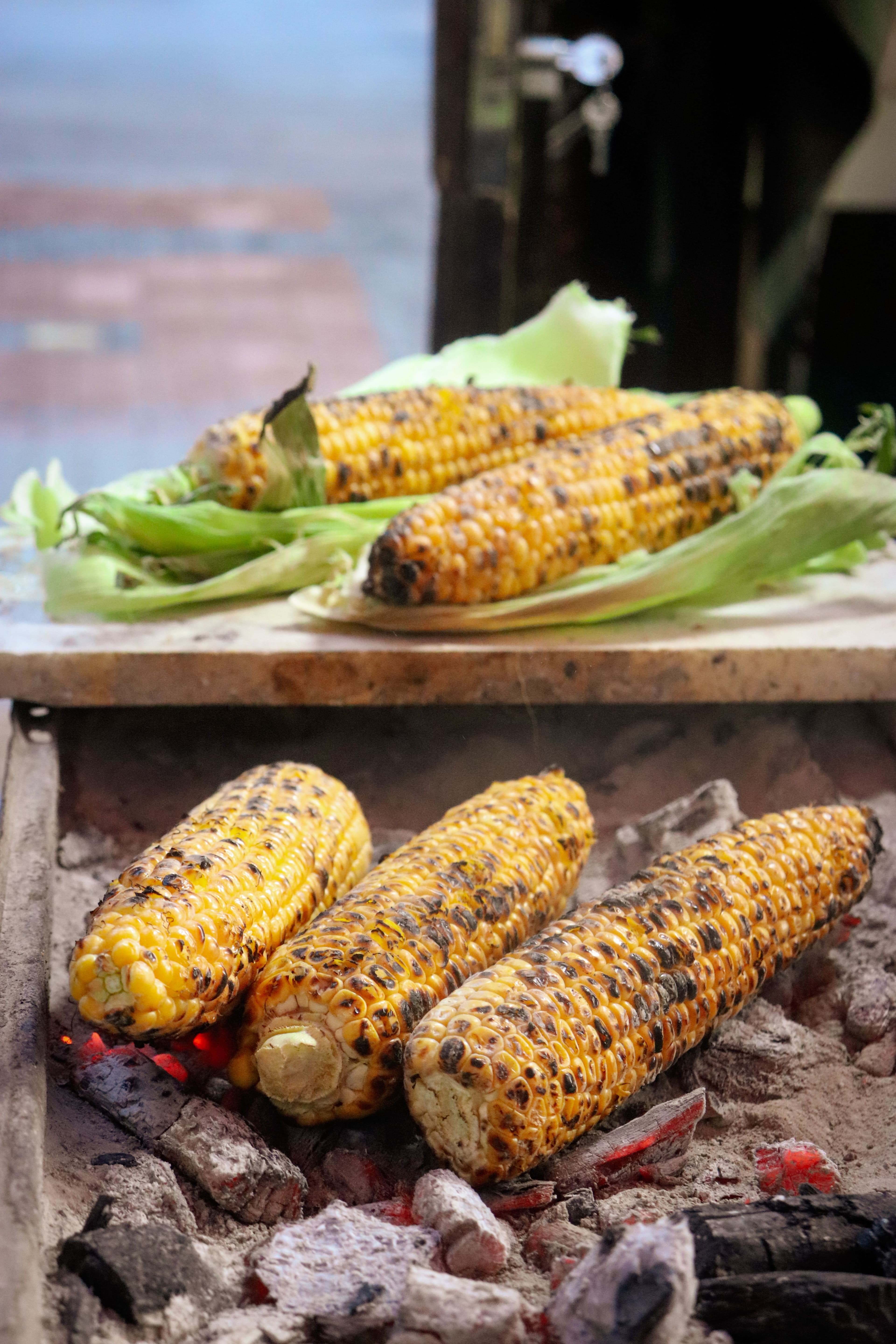 Grilled Corn Tunisian Style