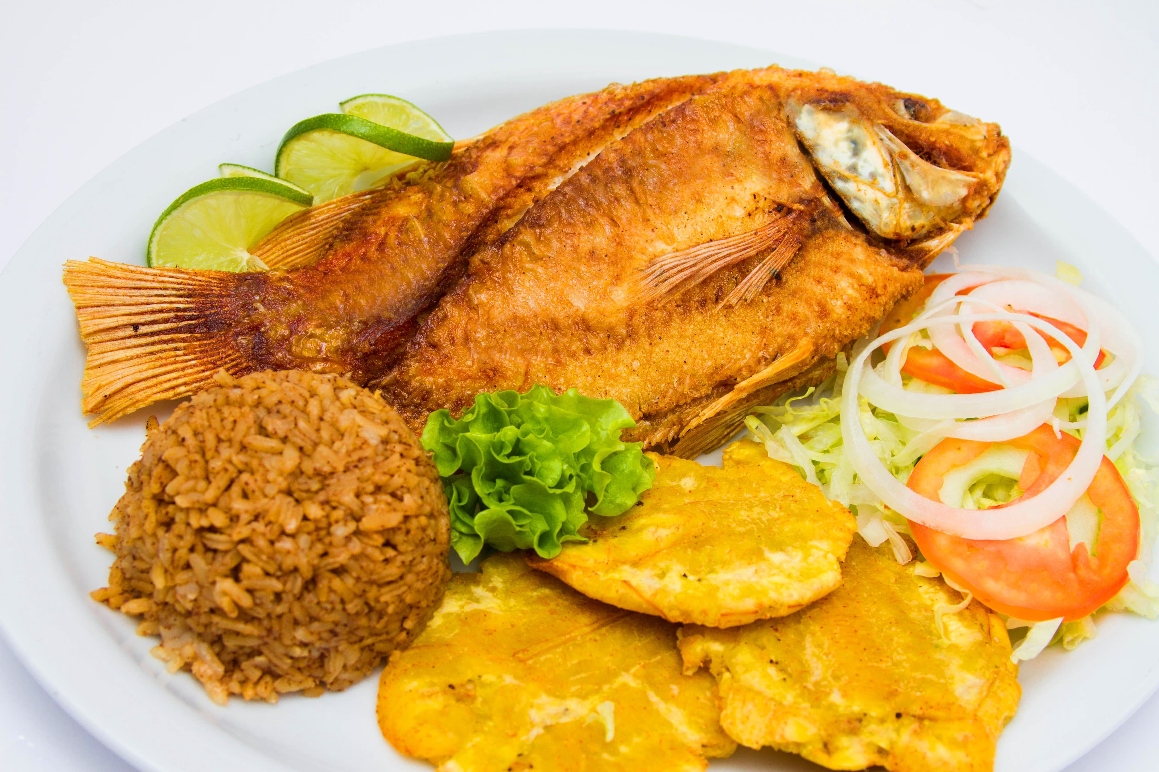 Honduran Machuca