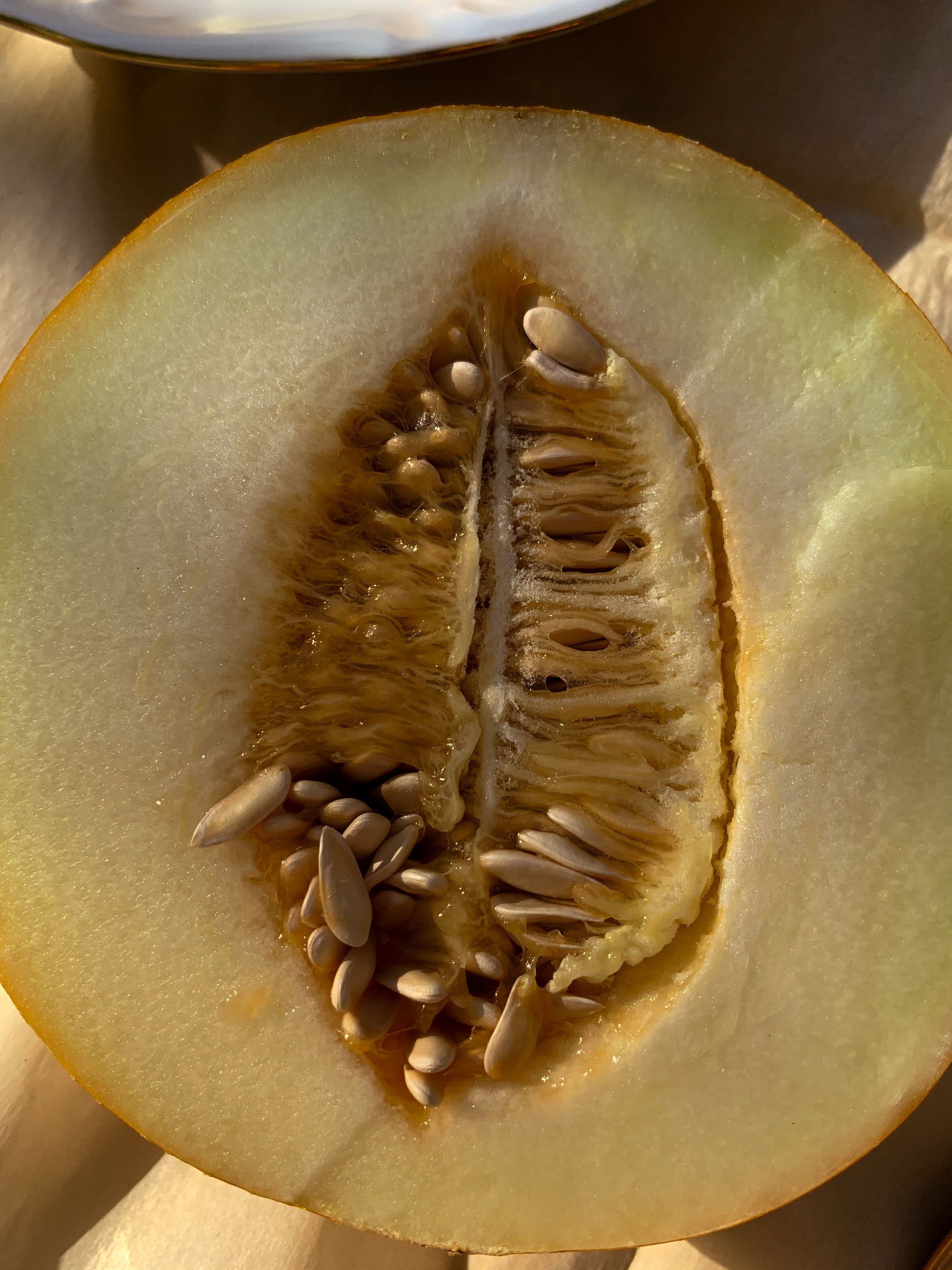 Melon Seeds Roasted (Chinese)