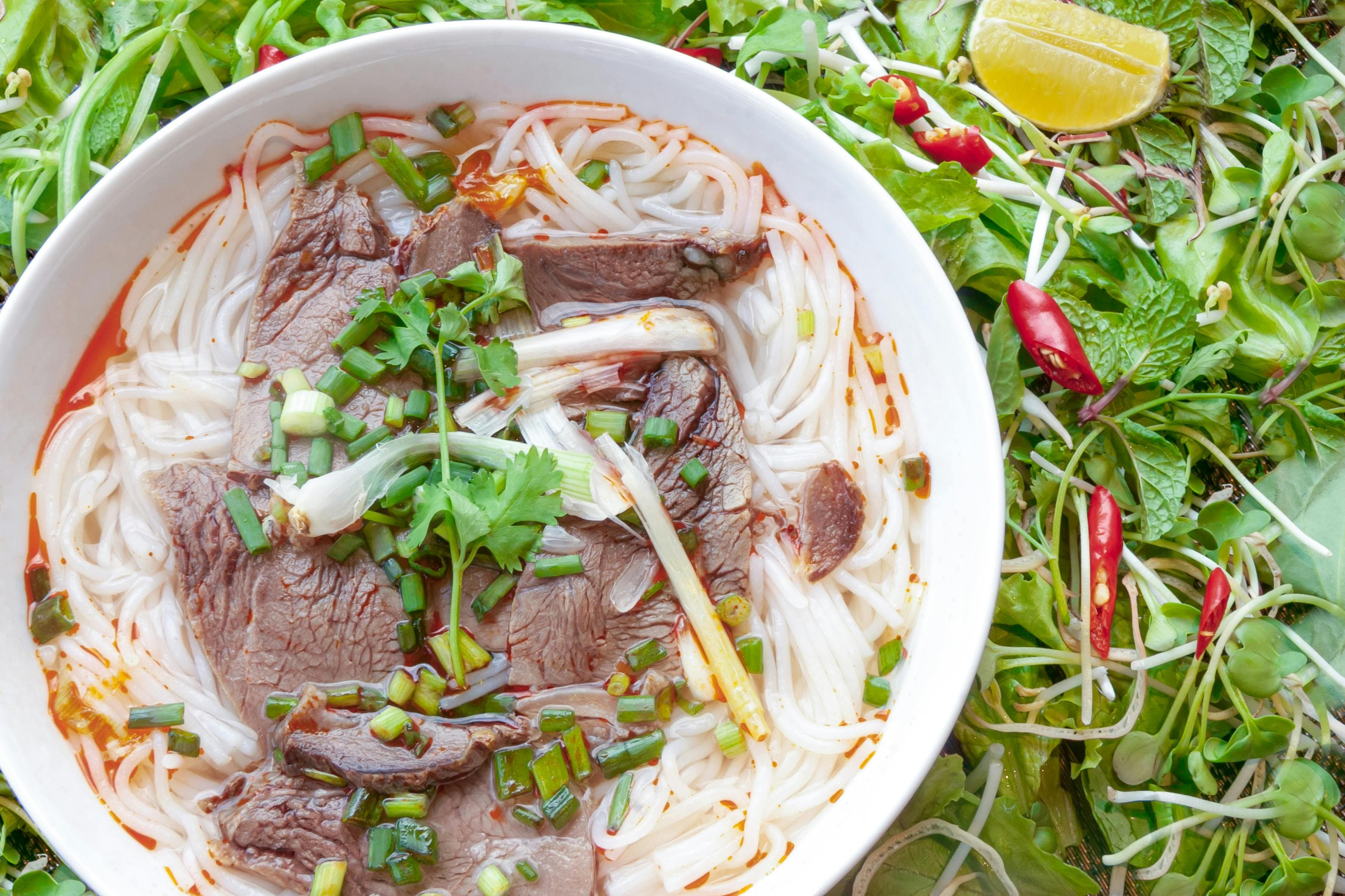 Pho Bo