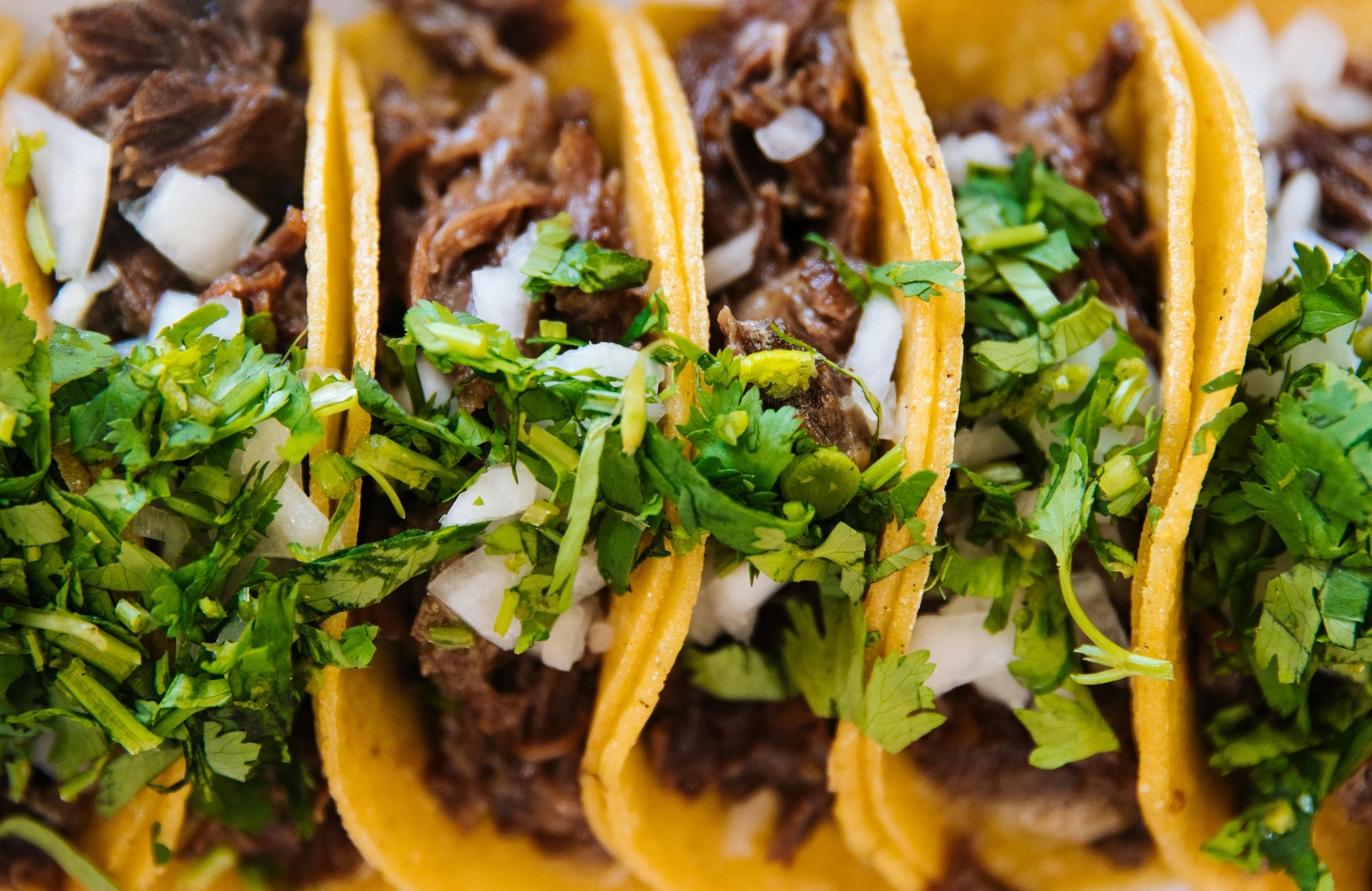 Tacos de Carnitas