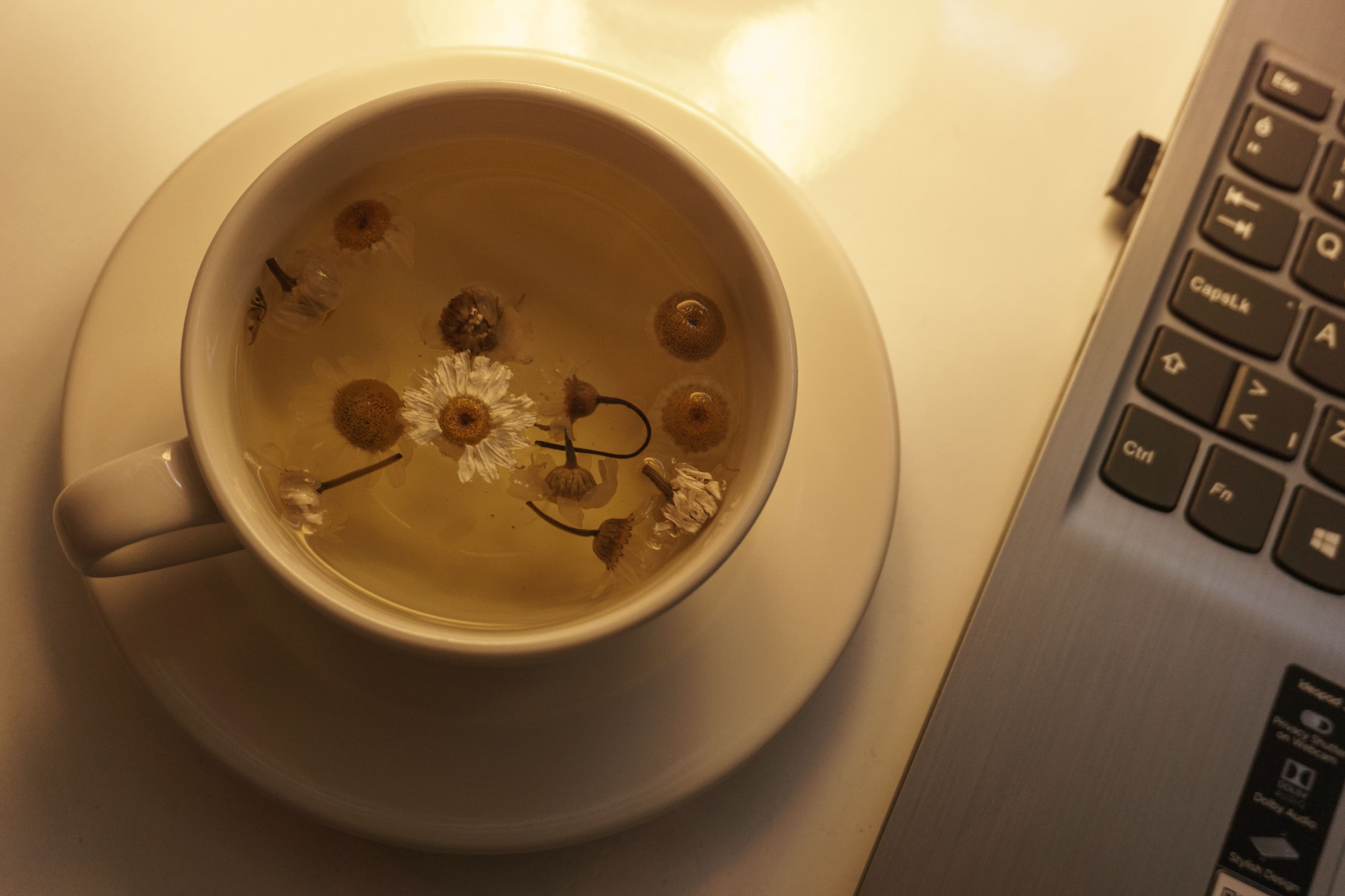 Tisane Camomille