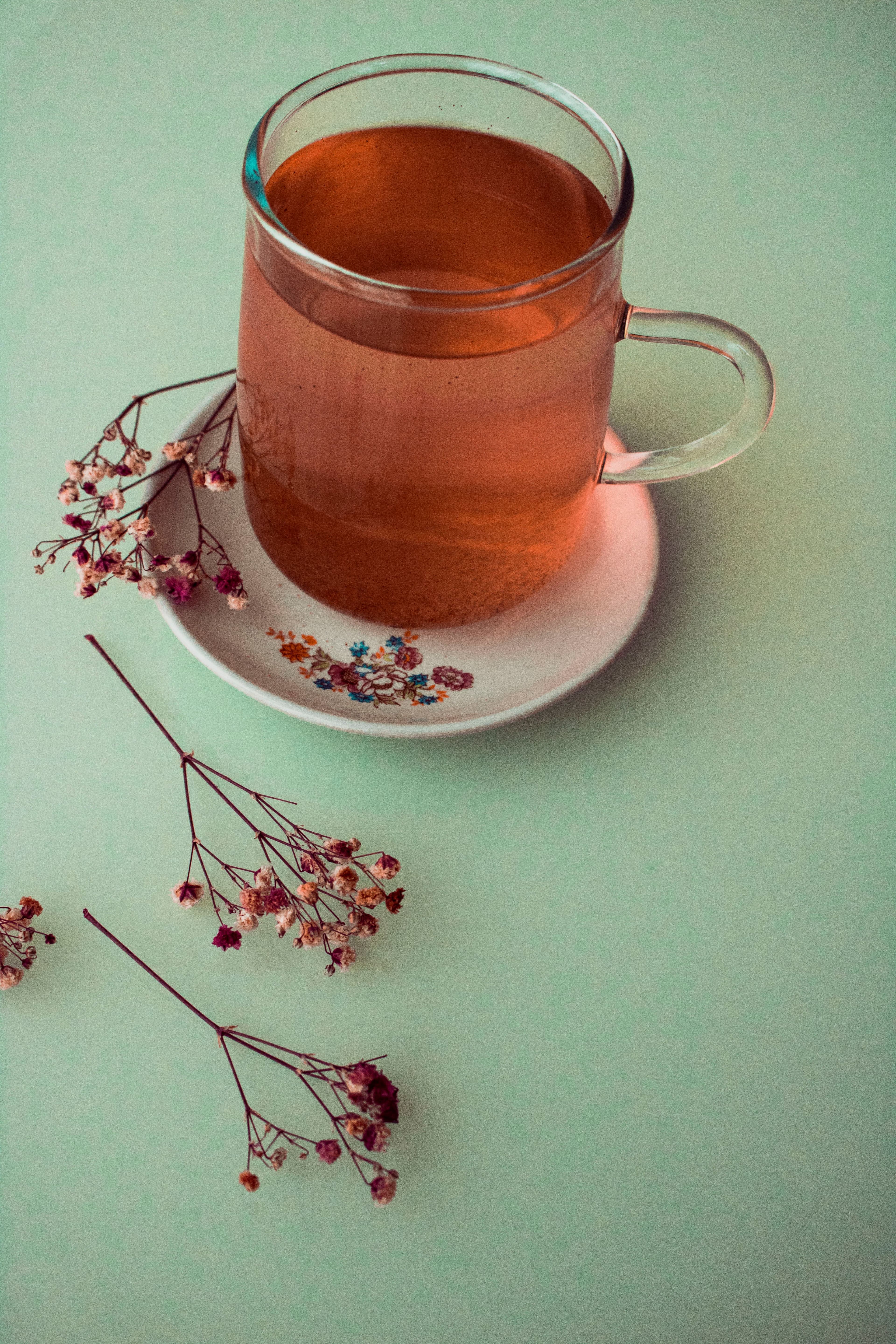Tisane Rooibos Nature