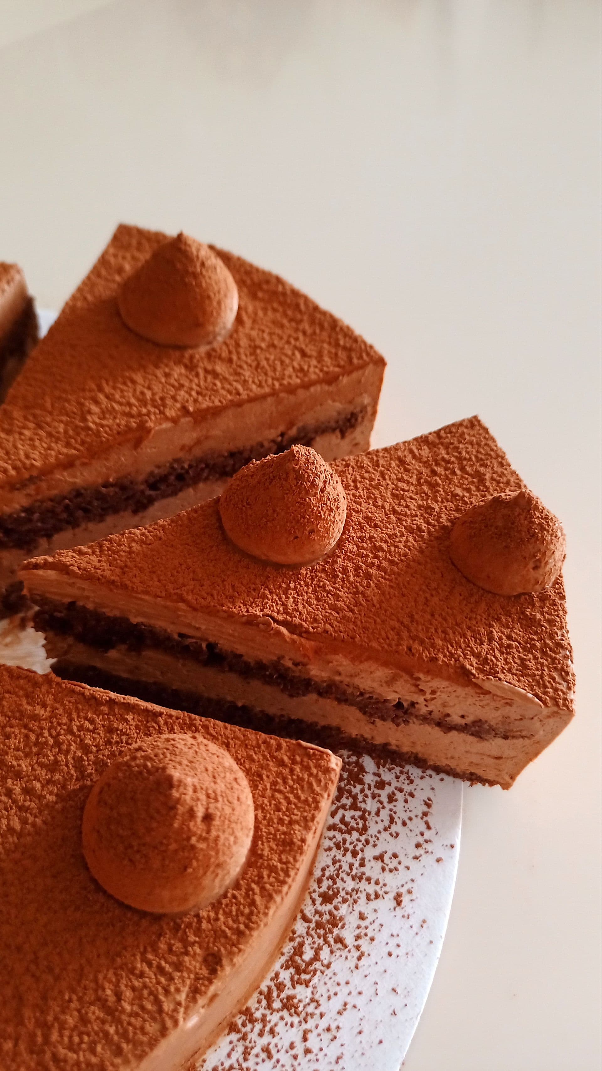 Triple Chocolate Entremet