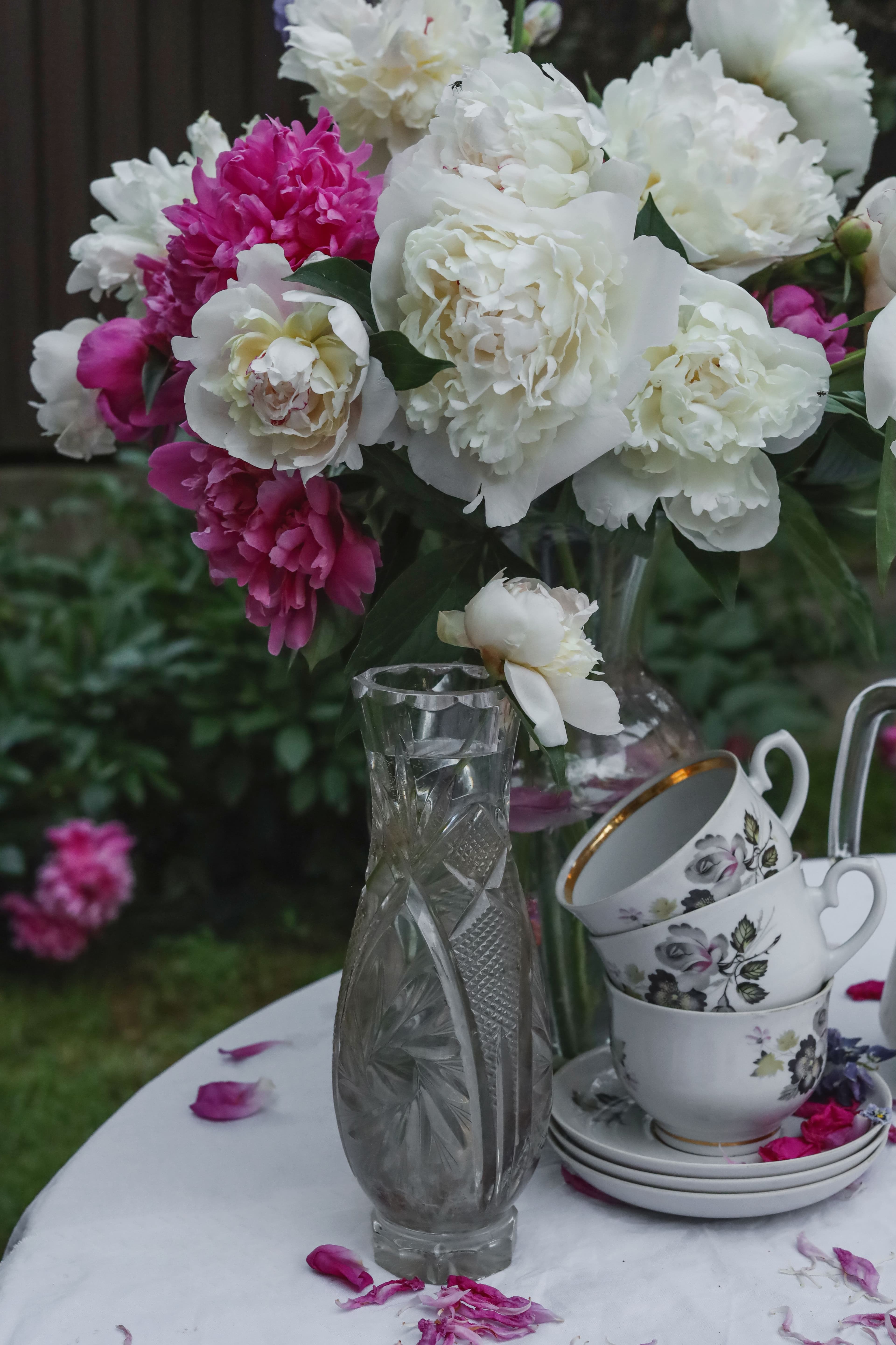 White Peony Tea